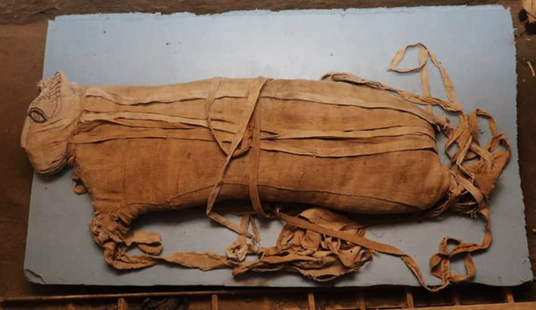 FOTO U Egiptu pronađene mumije lavova
